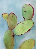 Fico d’India sur fond bleu - Façades intérieures