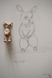 Lapin timide - Croquis & gribouillis