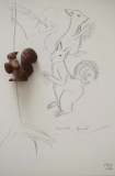 Ecureuil - Croquis & gribouillis