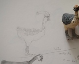 Bébé autruche - Croquis & gribouillis