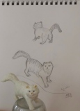 Le modèle et son chat - Croquis & gribouillis