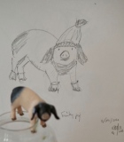 Flying pig 1 - Croquis & gribouillis