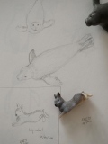 phoque et lièvre (une nouvelle fable) - Croquis & gribouillis