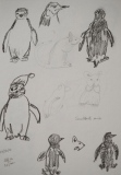 Pingouin & souris (rencontre courante) - Croquis & gribouillis